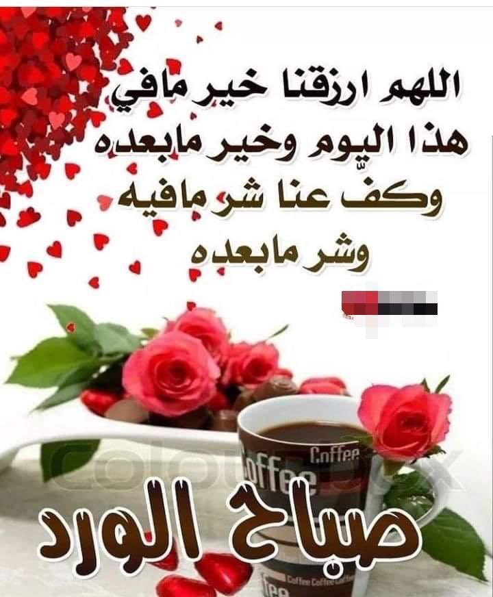 سعيدالحريص (@nk2010smm) on Twitter photo 