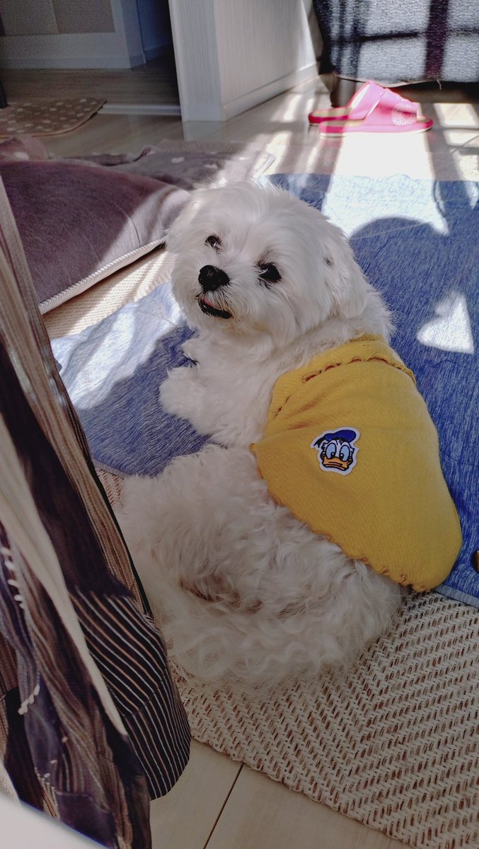 にこまる (@6yQgZFNMNk76215) / Posts / X