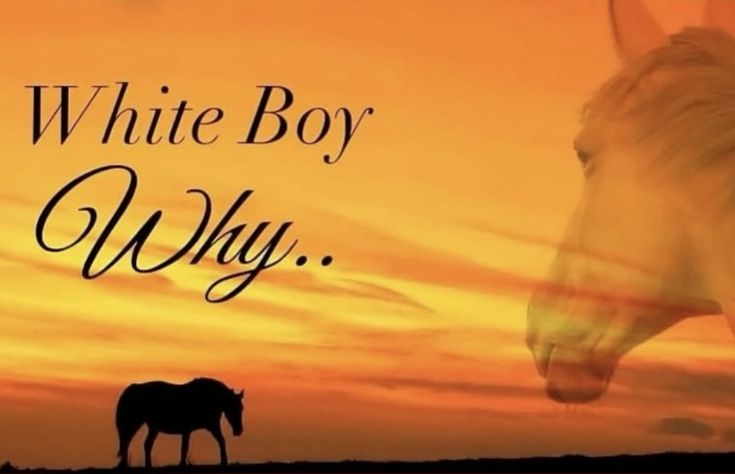 Violette ☆ Wesker's dove tweet media