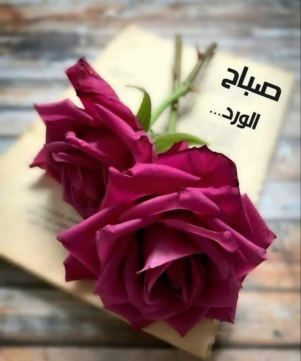 صمت المشاعر (@memo0o891) on Twitter photo 