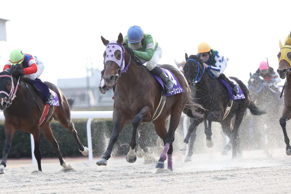 ライデンリーダー記念 本日開催。笠松競馬場でライデンリーダー記念(2