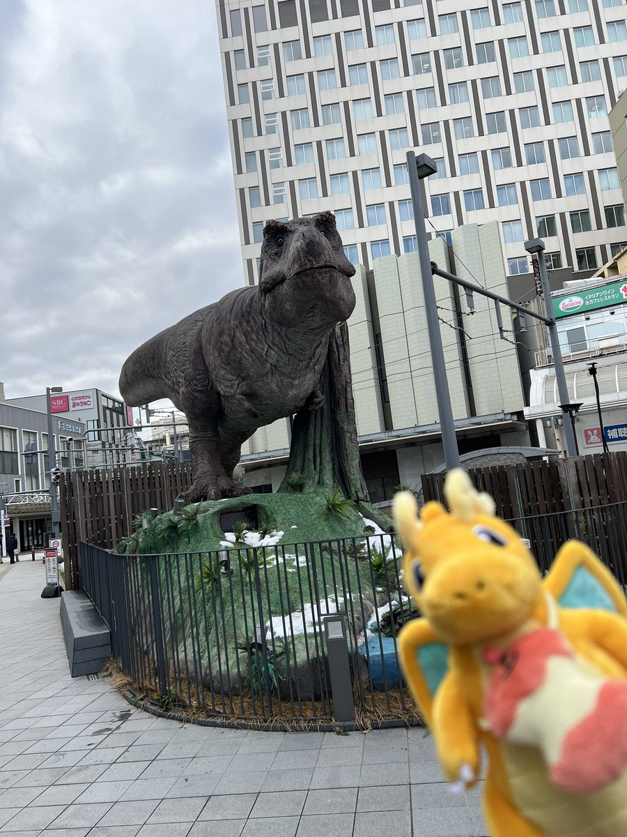 推し活しに福井来た🦖🦖🦖