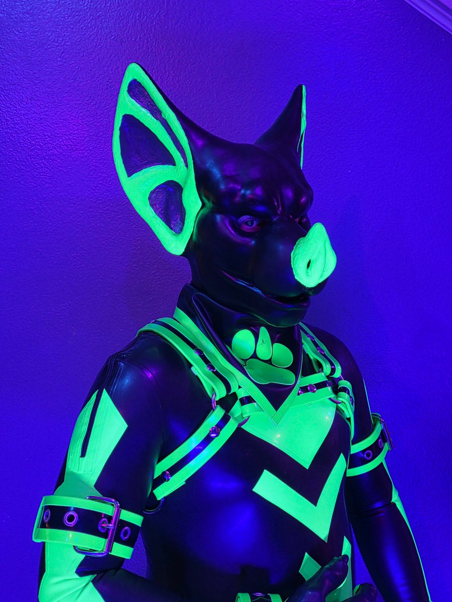There's just something about UV Green that we just love here at Frisky Critters! You just gotta love that bats big glowy ears and nose! A small demo of the paint options we have available from time to time. 

Shoutout to <a href="/RubbrPupLLC/">RUBBERPUP</a> for the harness, cuffs, bandana and jock