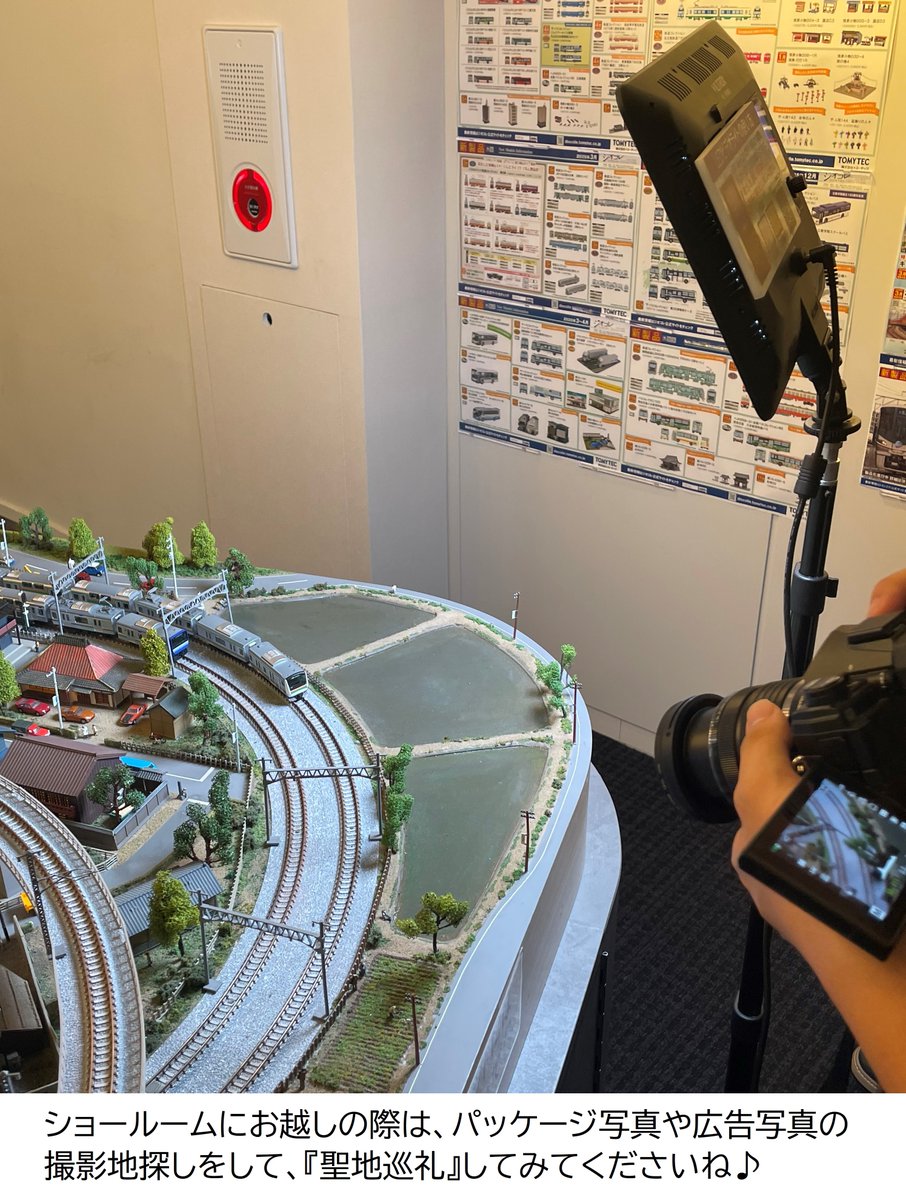 柴狼 (@Bluelibonwolf) / Posts / X