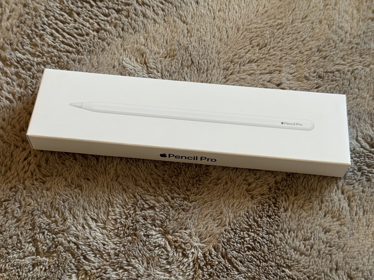 Apple Pencil Proを無くしてしまいました。見つけられなかったので諦め