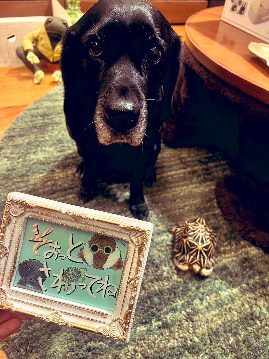 ♥ジブリらぶ様♥ My Neighbor Totoro﻿ ﻿ ﻿ ﻿ ﻿ 🌳🪨﻿ ﻿ ﻿ ﻿