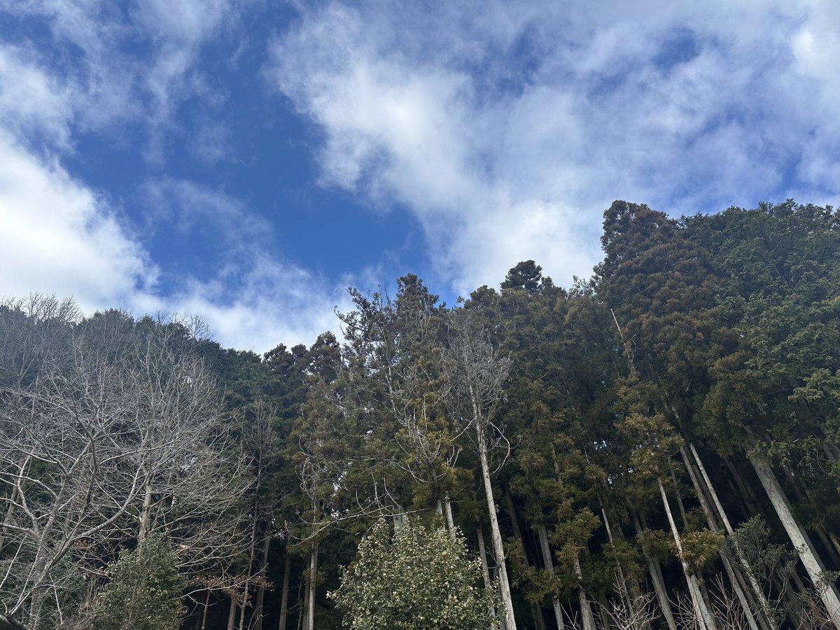 Happy Sunday -^-^ *･.° ⭐︎