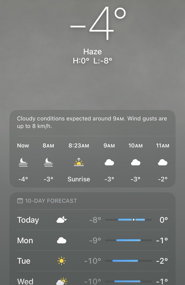 gold_dicker's tweet image. Good morning UAE! #alterabudhabi #alterauh