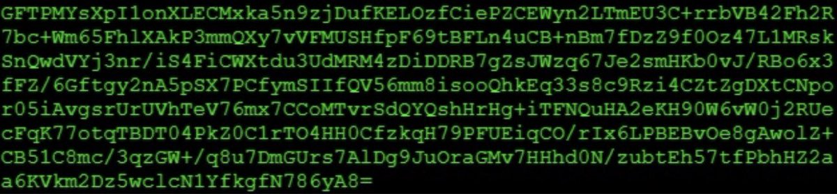 TimeRoamingCat's tweet image. 🥸👀😼