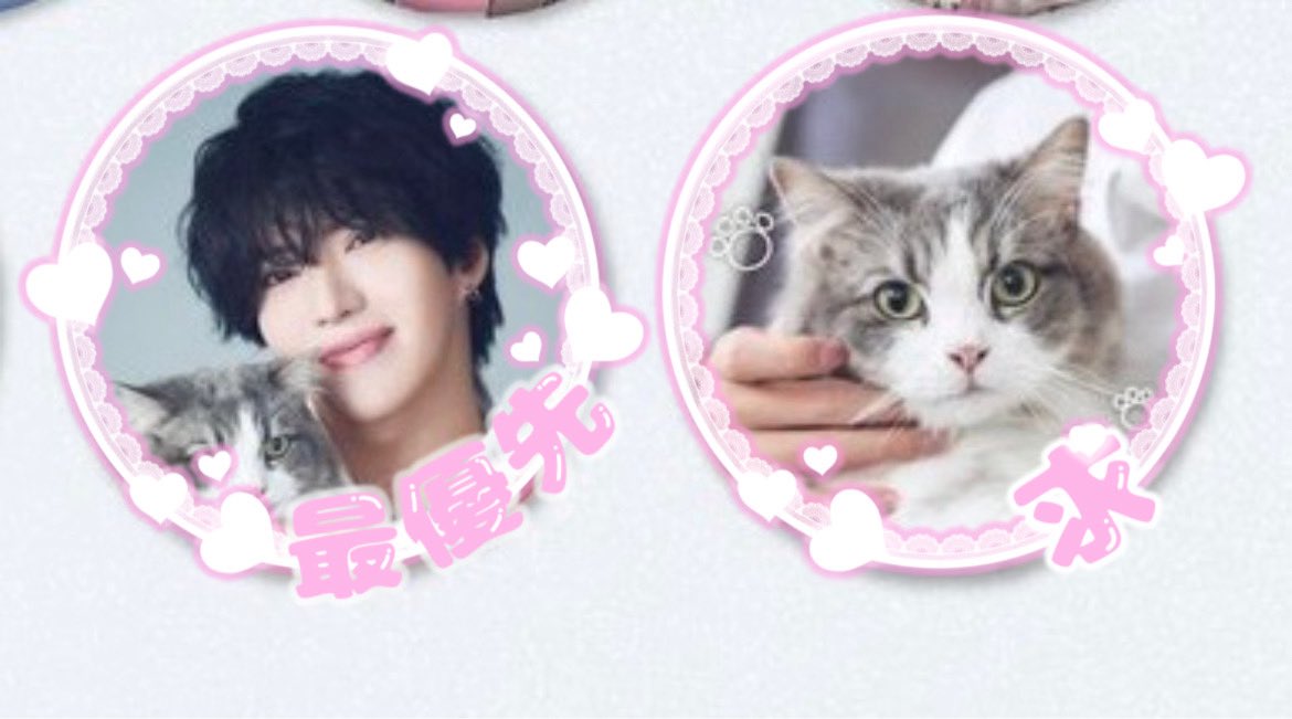 さとみくん 缶バッジ 実写 ワンマン やまと 猫 さとみくん 缶バッジ 実写 ワンマン やまと 猫 缶バッジ さとみくん