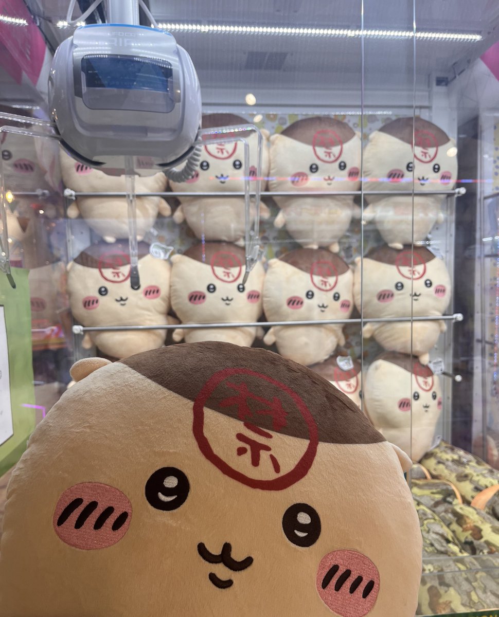 まるぽよ (@maru_poyon) / Posts / X