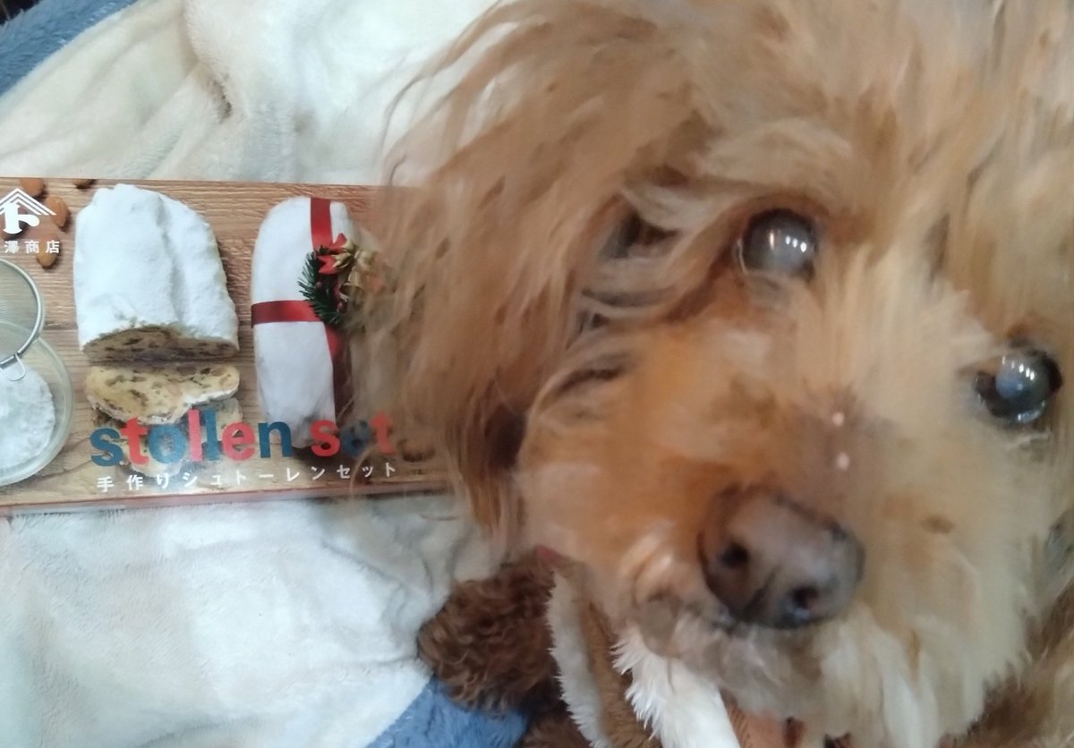 ritosalmon's tweet image. 一緒に明日の忘年会のお菓子作りするよ‼️