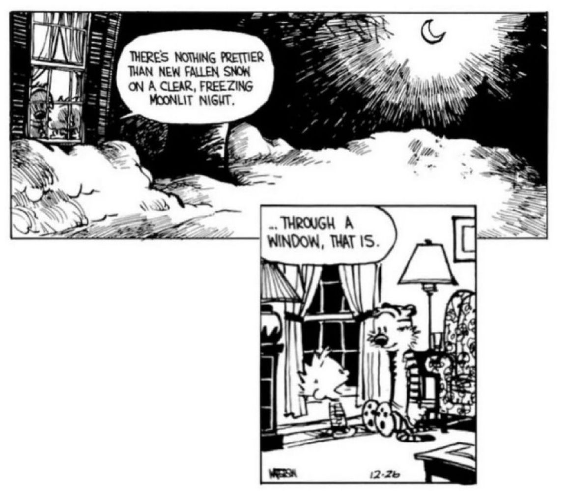 Such a beautiful sight. 🌌🌨 #CalvinandHobbes