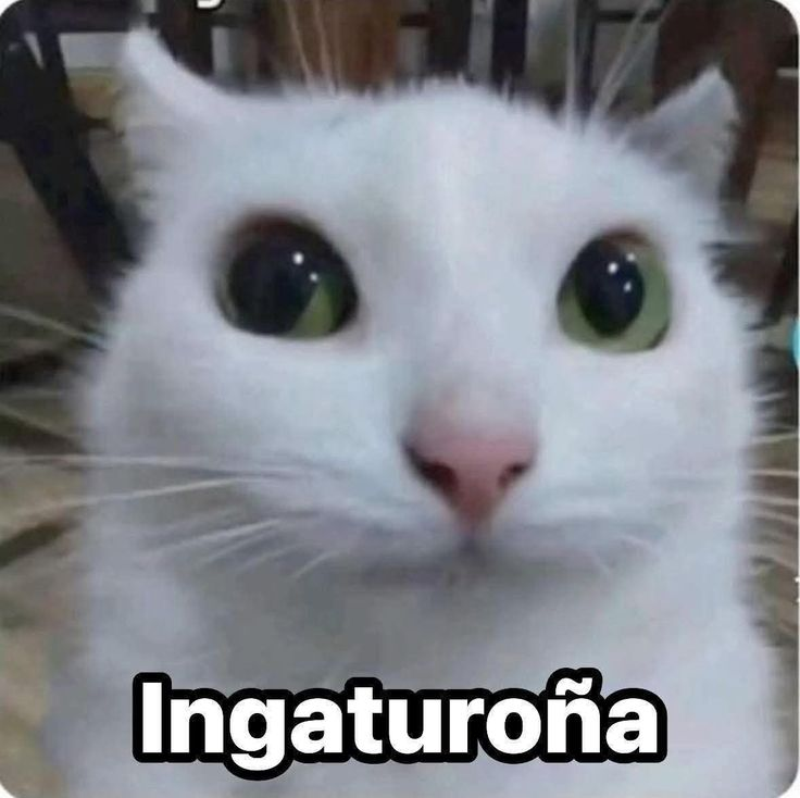 pijes pásenme su OC o una recomendación pa dibujar