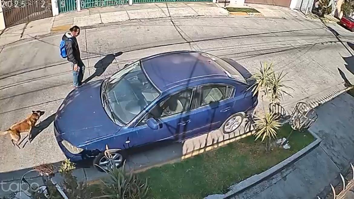 Anaro74's tweet image. Hugo Basurto y su perrita  Isis salieron a pasear el 19 de diciembre y ya no regresaron.
Su familia pide su ayuda para localizarlos. 
Esto fue en Hacienda de Echegaray, Naucalpan.
Hugo vestía como en la foto de la cámara. Isis es una pastor belga.
Favor de difundir.