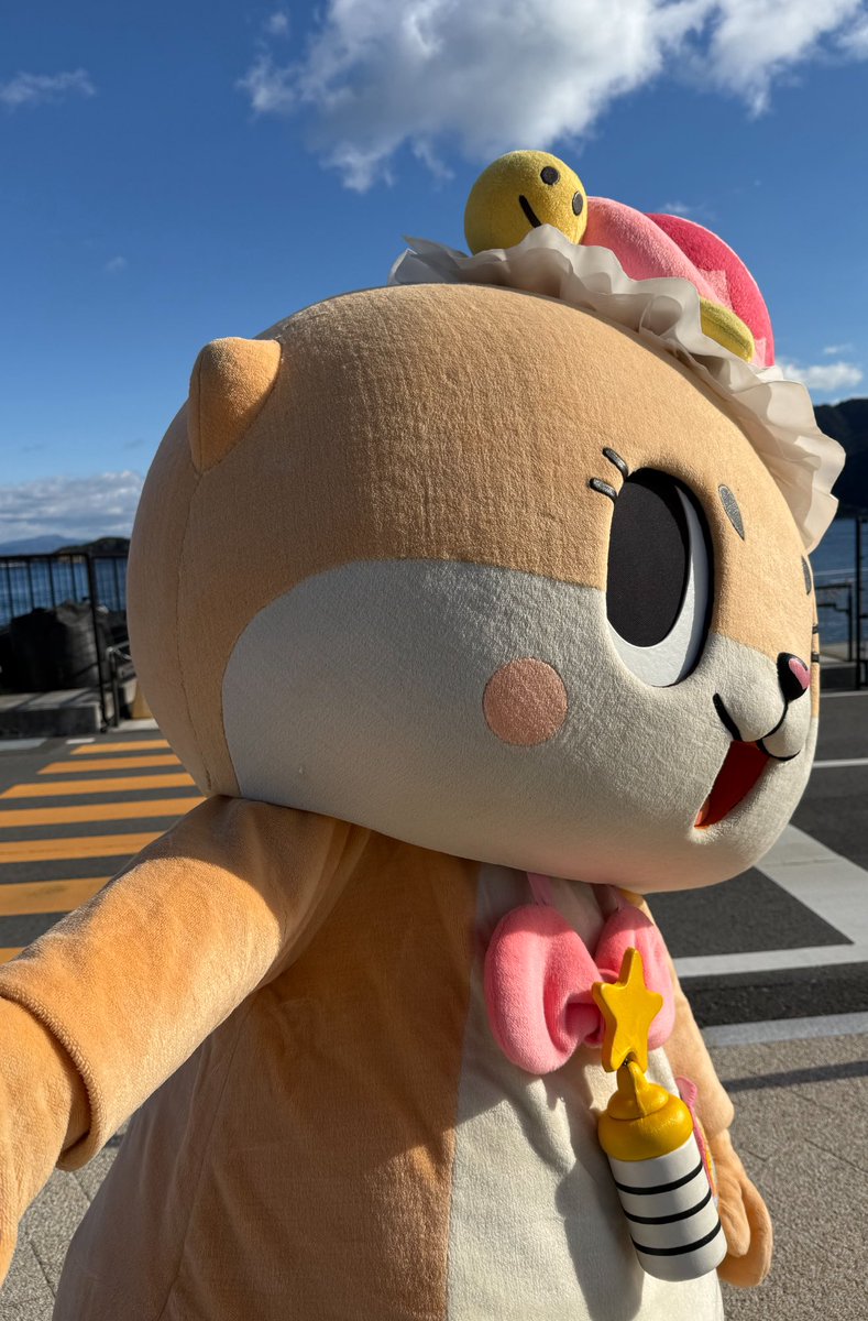 公式：ちぃたん☆広島 (@chiitanmomiji) / Highlights / X