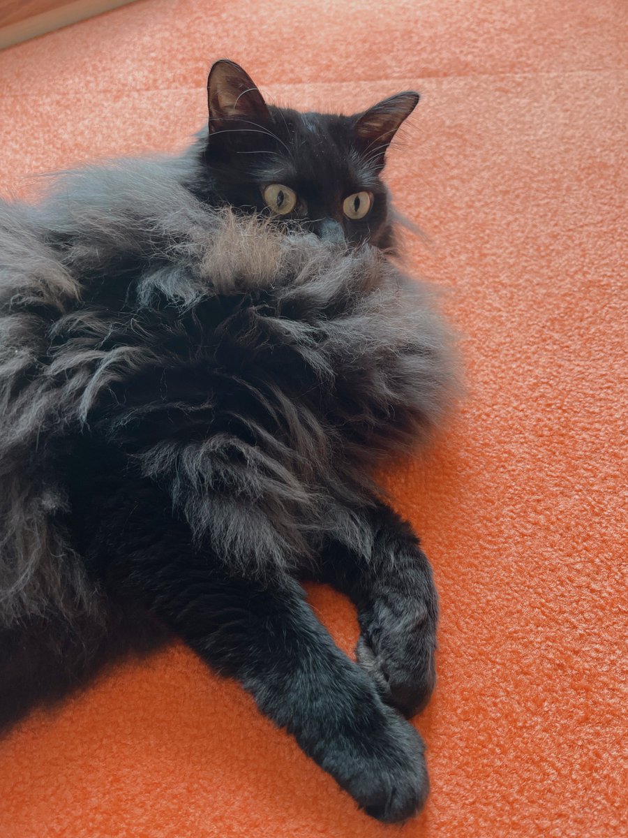 つきみちゃん (@tsukimi_32) / Posts / X