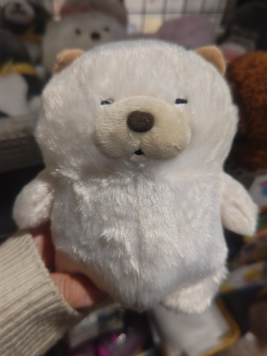 えいむ tweet media