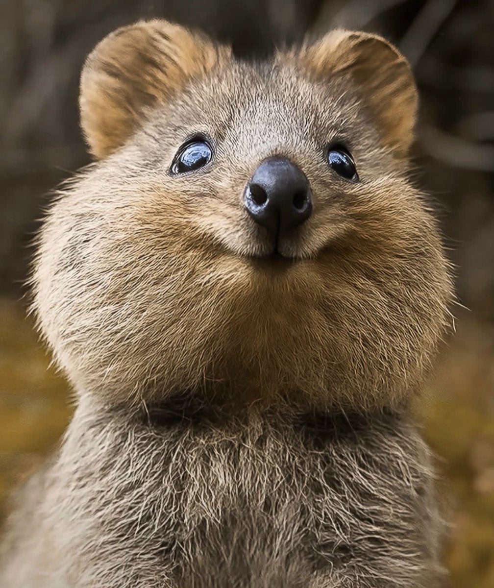 Michael McKenry tweet media