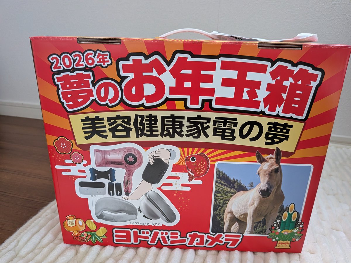 ヨドバシの夢のお年玉箱届いたー 1月1日に届くのかと思ってた笑 #ヨドバシ