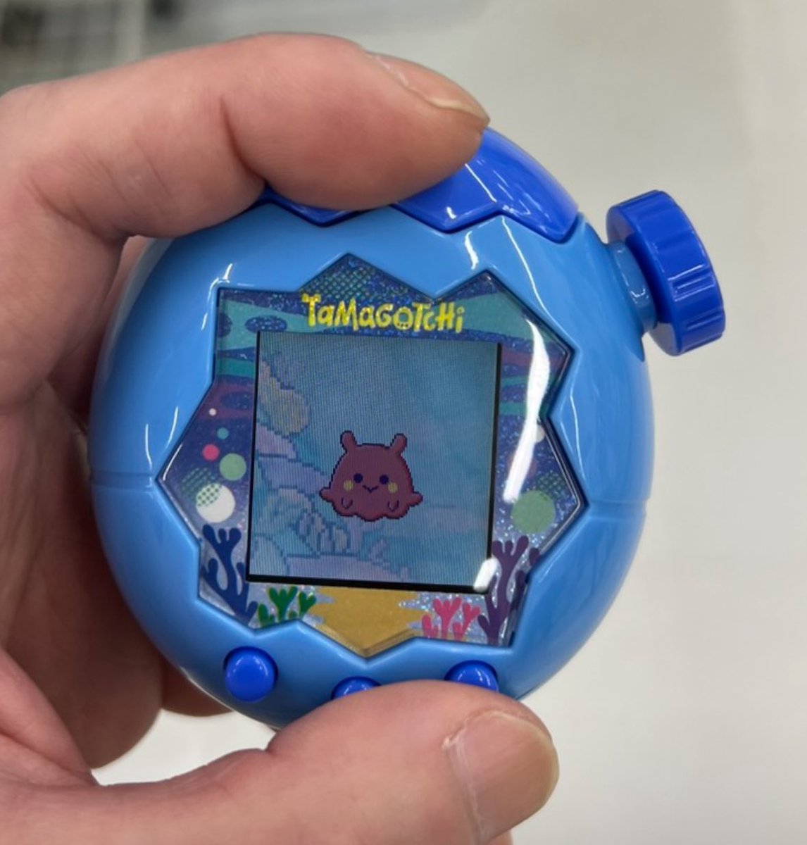 旦那にクリスマスプレゼント🎁にたまごっちをあげたら、最初の子はメンダコっち🐙になったらしい😂