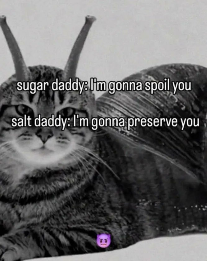 brainrotpostig's tweet image. 