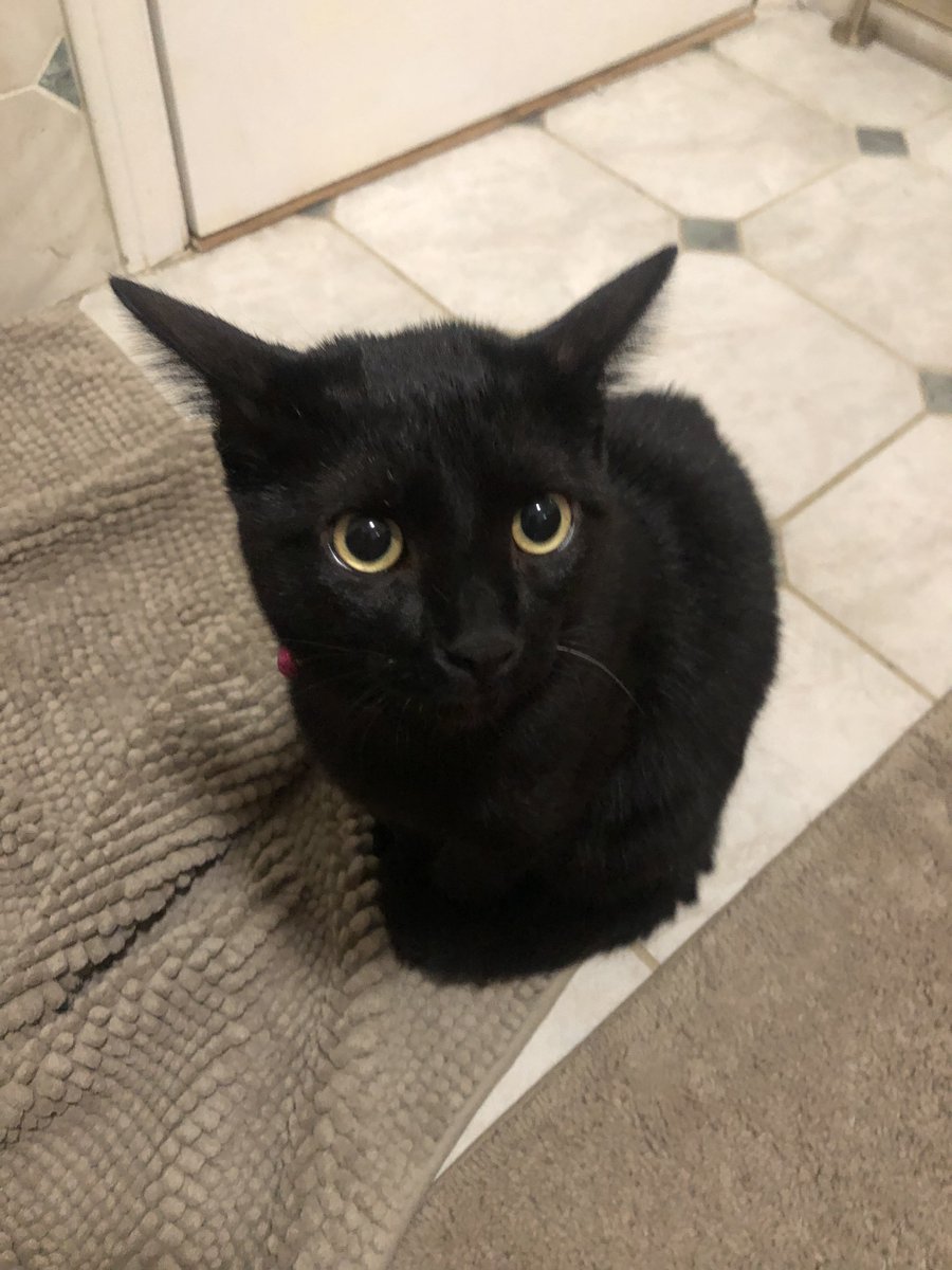 sockmoments's tweet image. ?