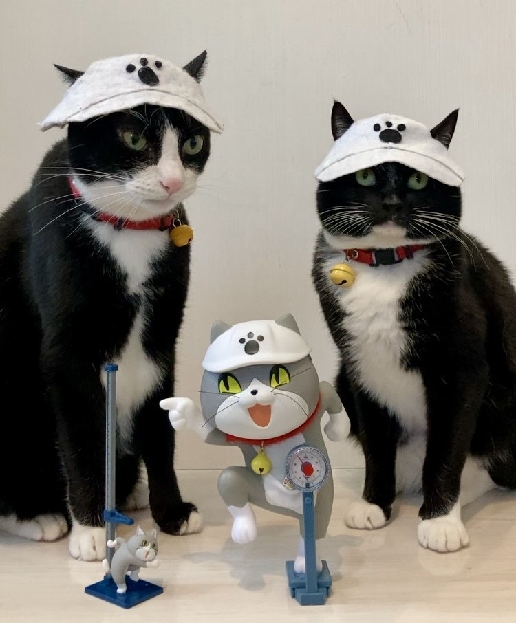 らっちゃんページ 片足しか乗っとらんwwwwww