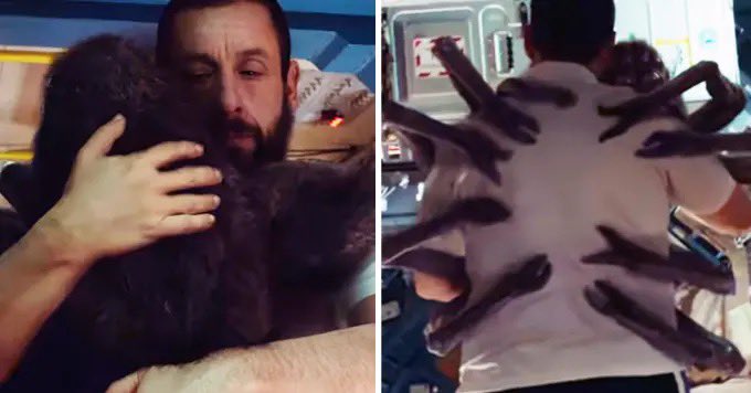 Me and the spider I let chill in the corner of my bathroom