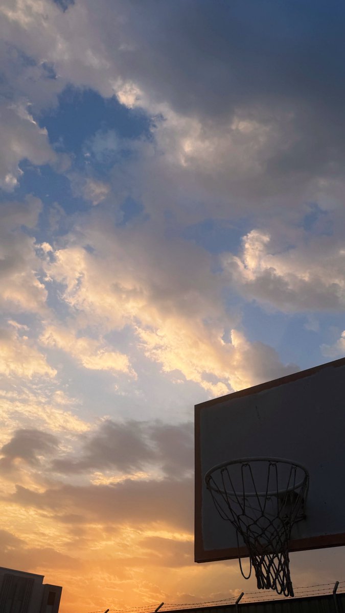 🦎⚠️ tweet media