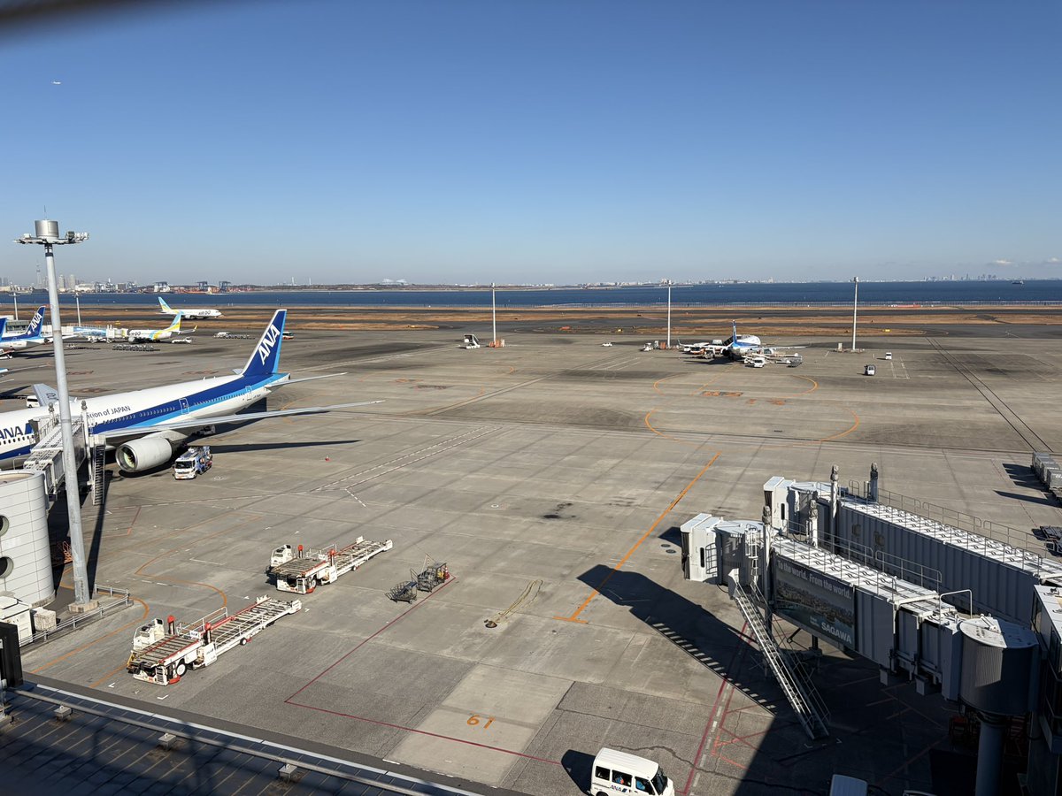 冬休みの羽田空港散歩✈️ 
我が家は旅行も帰省もしませんので、お見送り専門隊です😅
皆さま、お気を付けて！

#羽田空港 #お見送り
#帰省ラッシュ