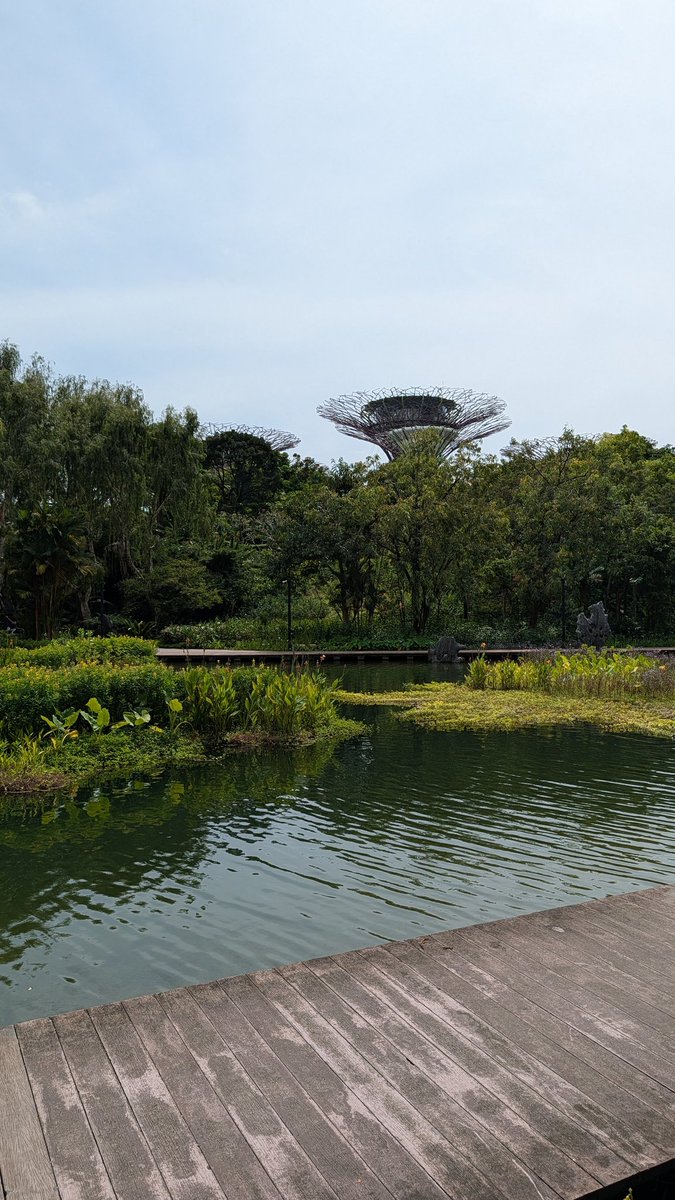 We made it to the Gardens by the Bay, such a well done masterpiece.