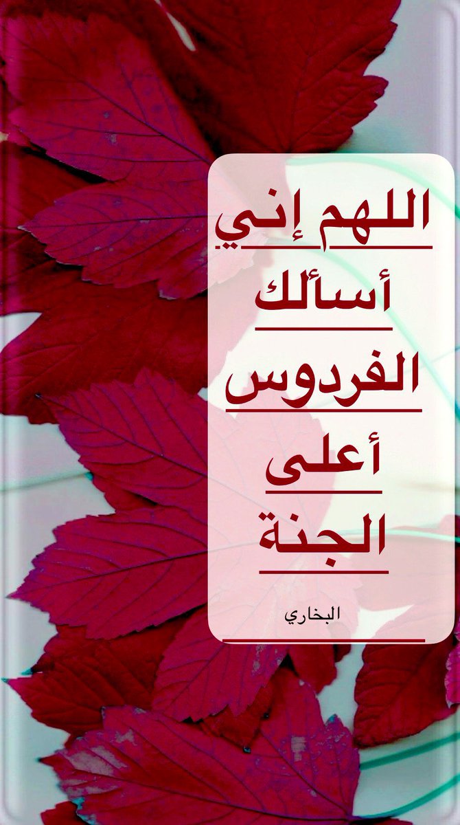 فهد السهلي tweet media