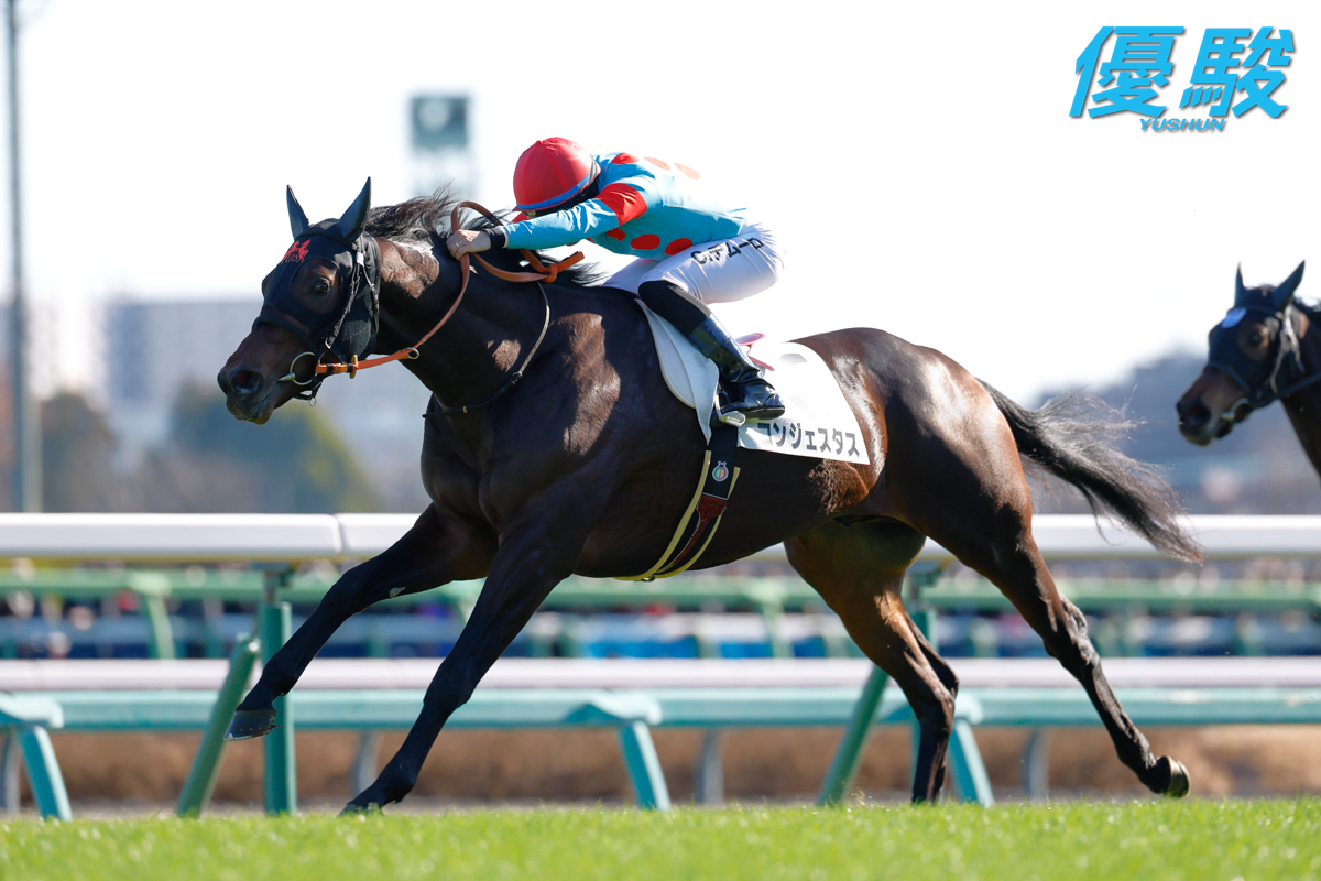 優駿』編集部 (@YUSHUN_Magazine) / Posts / X