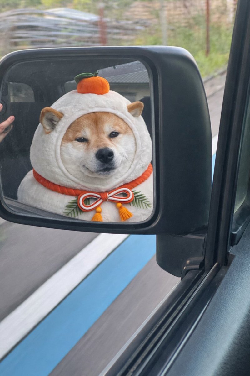 はむおじ (@hamuozi562) / Posts / X