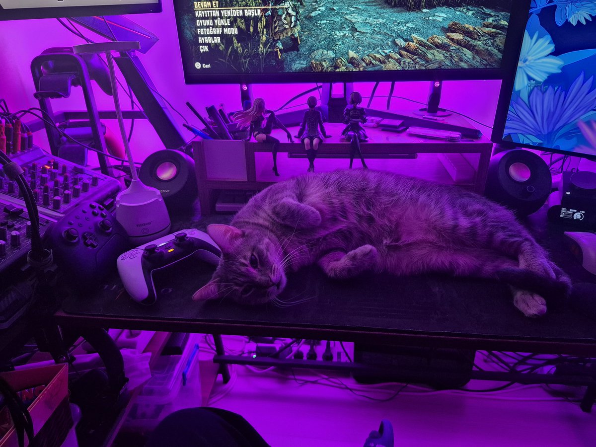 "Elindeki kontrolcüyü sakince yere bırak ve göbeğimi sev insan!"