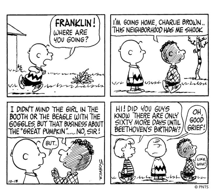 cvuzaii's tweet image. #peanutstwt