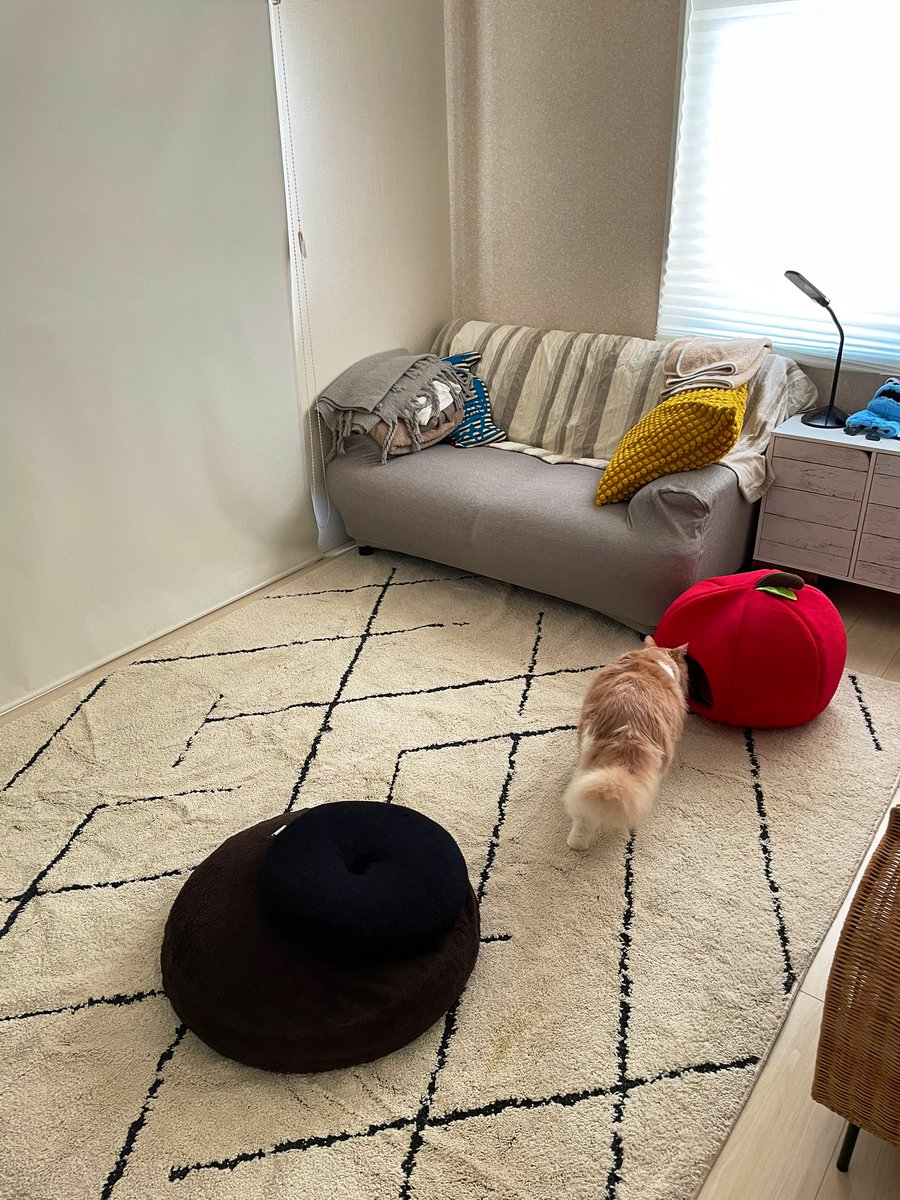 TSUNA (@tuna_cun) / Posts / X