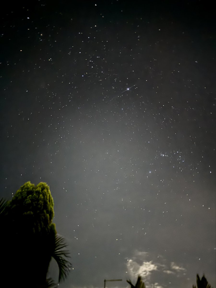 arcticritics's tweet image. meu pai me acordou e disse

gi, vem ver o céu