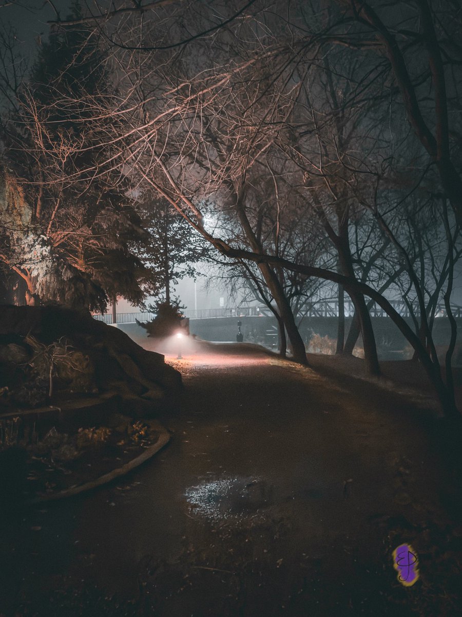 BoundlessDigi's tweet image. “Foggy Fantasy”

Took a walk by the Boise River with my wifey on a foggy night. 

#FoggyFantasy #Eagle #Idaho #idahome #walk #boiseriver