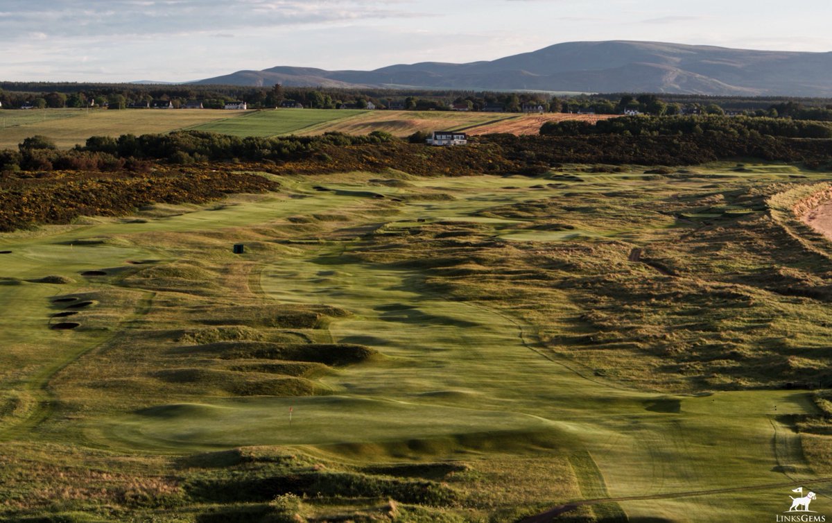 LinksGems's tweet photo. 🦊

Royal Dornoch makes me want to quit my job, sell my car, buy a little cottage near by, teach Gracie to herd sheep, and just go round-and-round this amazing course every day for the rest of my life. https://t.co/Y1rWZ7iJTA