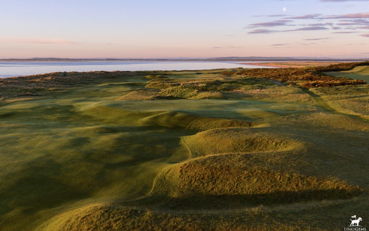 LinksGems's tweet photo. 🦊

Royal Dornoch makes me want to quit my job, sell my car, buy a little cottage near by, teach Gracie to herd sheep, and just go round-and-round this amazing course every day for the rest of my life. https://t.co/Y1rWZ7iJTA