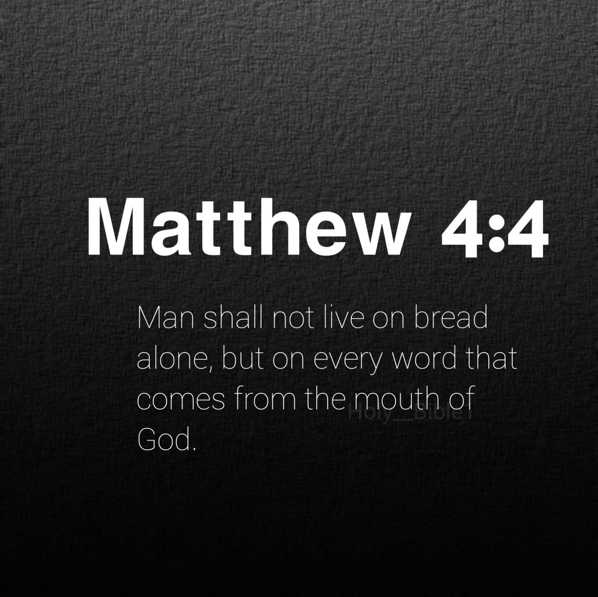 Holy Bible tweet media