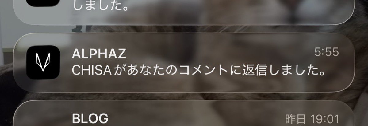 ちさちゃん返信くれてた😭温めて風邪ひかないようにねって労ってくれた