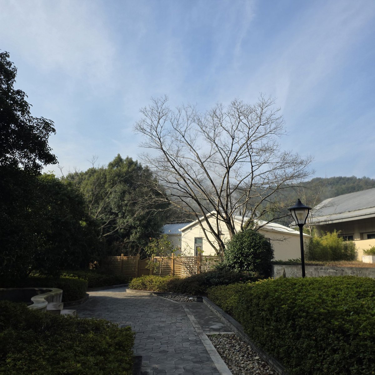 小麦夫妻 tweet media