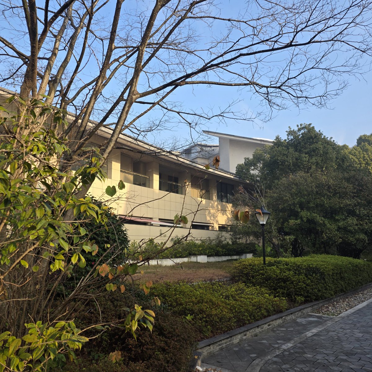 小麦夫妻 tweet media