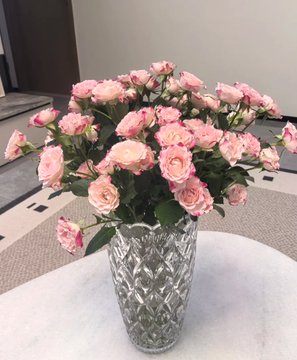 SkyPath__'s tweet image. "美しいピンクのバラの花束、優しくてロマンチック。🌸💖 生活の中で最もシンプルな美しさが、心に一番響きます。"