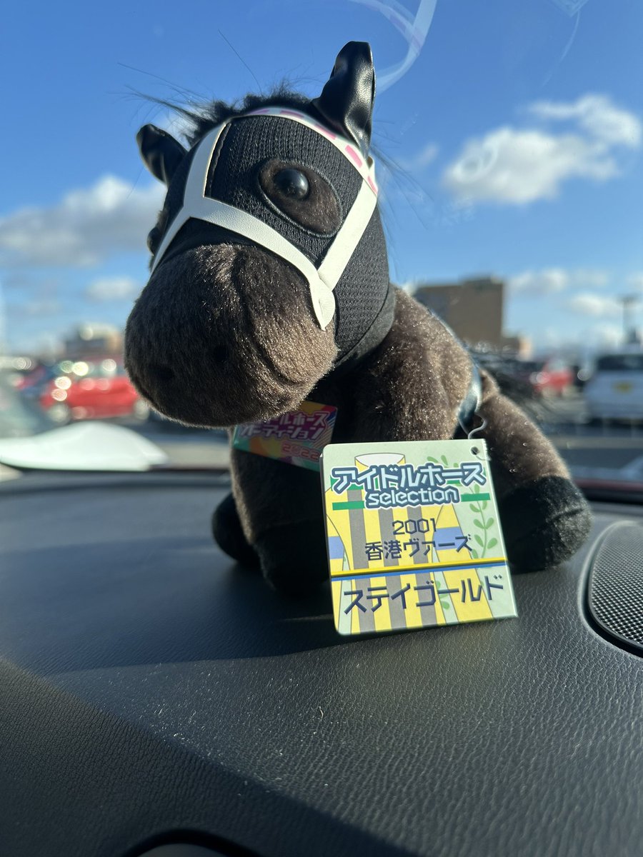 sold♡ご購入決まりました！ ここで出会えるとは 買っちゃった