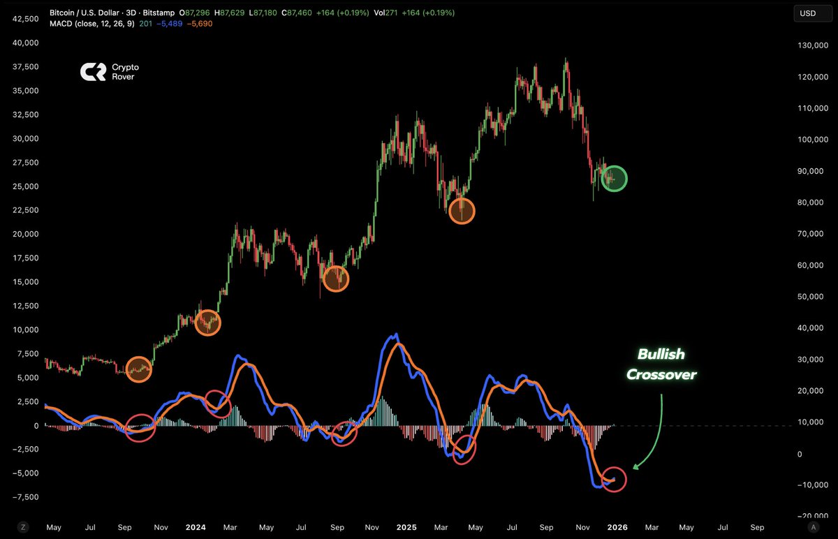 IN 2020, BITCOIN ENTERED ONE OF ITS BIGGEST RALLIES EVER AFTER THE GOLD  CYCLE TOPPED.