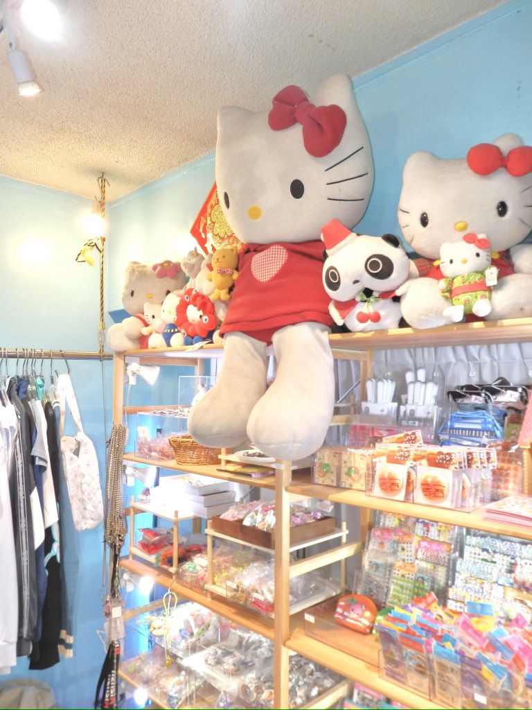 USED&SELECTほんわか (@honwaka61) / Posts and Replies / X